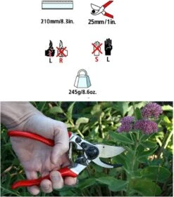 Felco 2 + GRATIS Felco Handschoenen In Cadeauverpakking -Tuin Tools Verkoop 1056x1200