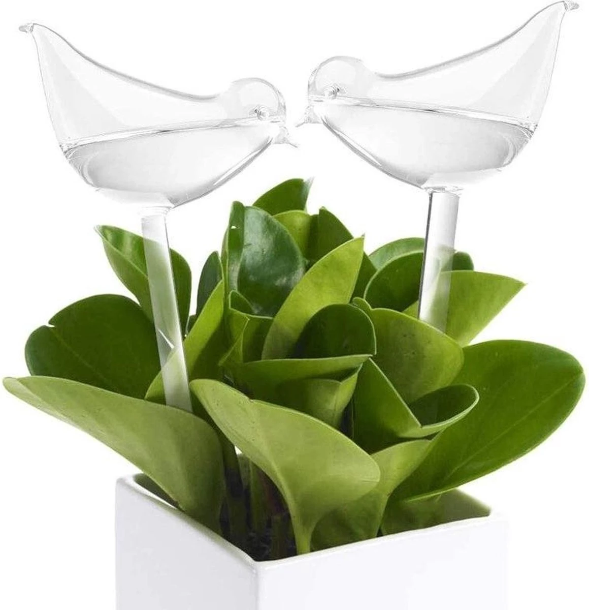 Luxe Planten Waterdruppelaar - Waterbol Vogel - Watergever - Watergeefsysteem Voor Planten & Bloemen - 200ML - Set Van 2 3 Luxe Planten Waterdruppelaar - Waterbol Vogel - Watergever - Watergeefsysteem Voor Planten & Bloemen - 200ML - Set Van 2 - Image 3