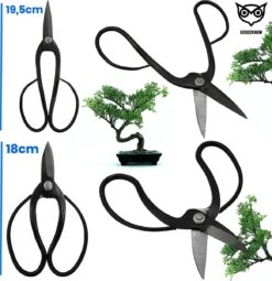 Good2know Bonsai Gereedschap Set – 16 Delig – Bonsai Starters Kit – Bonsai Boompje Verzorgingskit - Tuingereedschap -Tuin Tools Verkoop 1163x1200 1