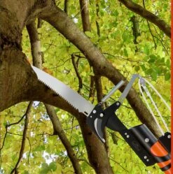 Gardebruk Takkenzaag Telescopisch - 2in1 Zaag & Snoeischaar - Oranje -Tuin Tools Verkoop 1189x1200 1