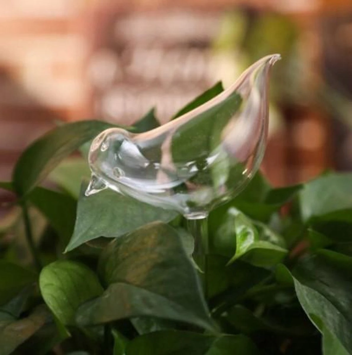 Waterdruppelaar Planten - Vorm Vogel - Set Van 3 Kunststof Druppelaars - 25cm Lengte - Genoeg Water Tijdens Je Vakantie 3 Waterdruppelaar Planten - Vorm Vogel - Set Van 3 Kunststof Druppelaars - 25cm Lengte - Genoeg Water Tijdens Je Vakantie - Image 3