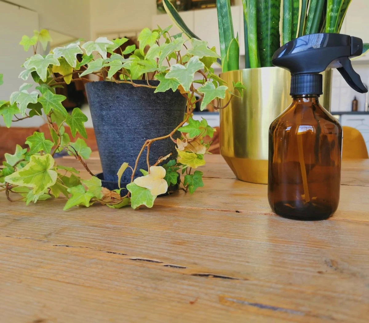 24DOTS Living Plantenspuit | 300 Ml Bruin Amber Glas | Plantensproeier | Plantenspuit Binnen | Waterverstuiver | Vernevelaar 4 24DOTS Living Plantenspuit | 300 Ml Bruin Amber Glas | Plantensproeier | Plantenspuit Binnen | Waterverstuiver | Vernevelaar - Image 4