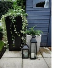 Prestige Manhattan 100L Regenton Zwart (incl. Kraantje) 16 Prestige Manhattan 100L Regenton Zwart (incl. Kraantje) -Tuin Tools Verkoop 1200x1083 4