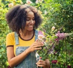 GARDENA - ExpertCut - Snoeischaar - 22 Diameter Tak -Tuin Tools Verkoop 1200x1122