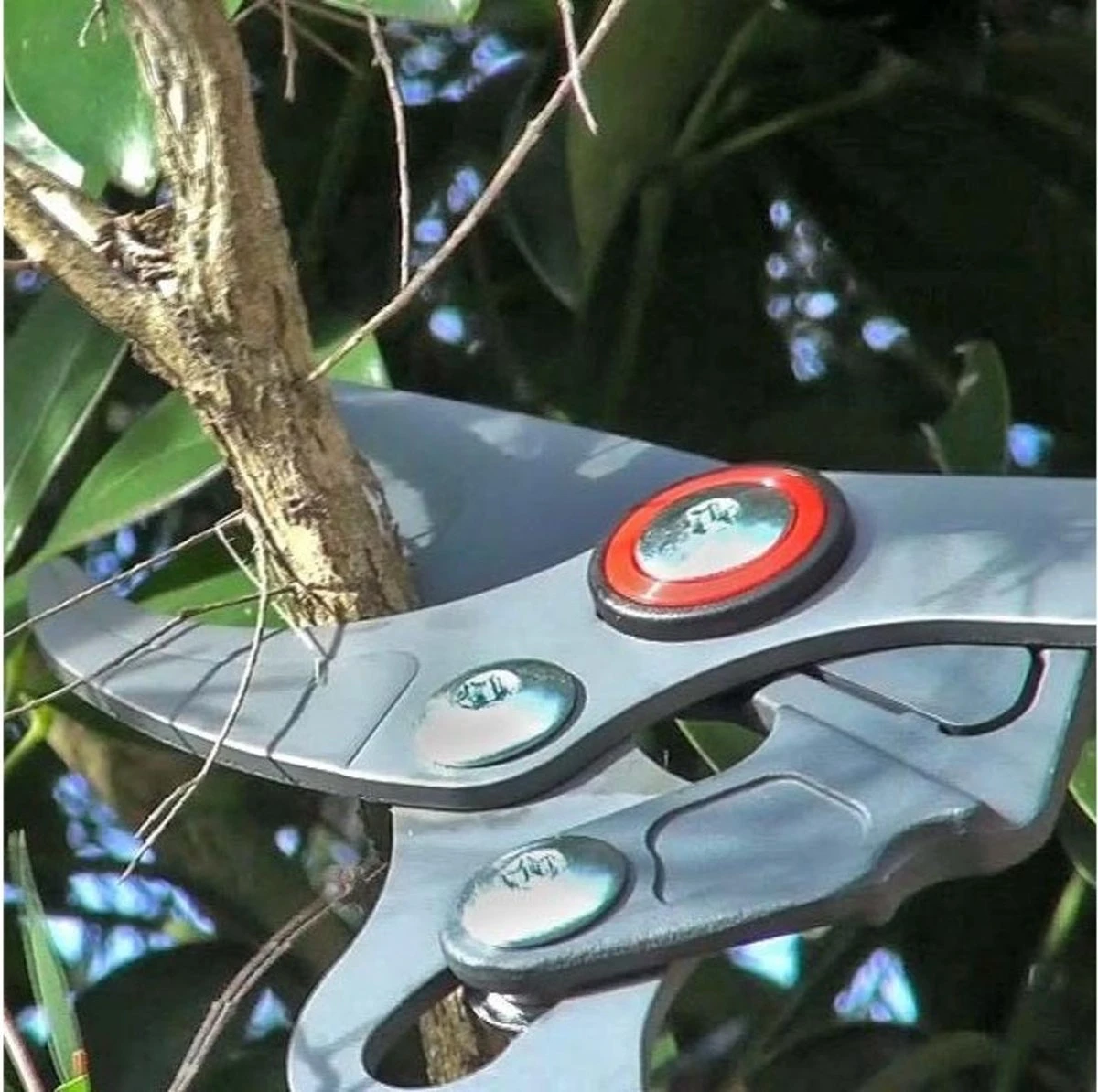 WOLF-Garten Takkenschaar POWER CUT RR*** 900 T - Lengte 650-900mm - Telescoop - Aluminium Hefboomarmen - 4x Meer Kracht - Messpanning Instelbaar 7 WOLF-Garten Takkenschaar POWER CUT RR*** 900 T - Lengte 650-900mm - Telescoop - Aluminium Hefboomarmen - 4x Meer Kracht - Messpanning Instelbaar - Image 7