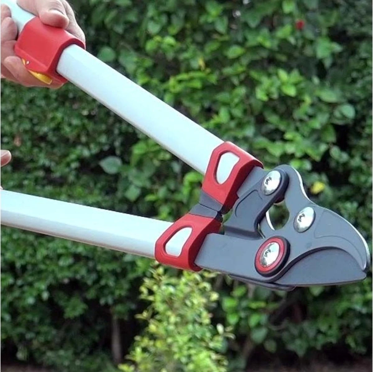 WOLF-Garten Takkenschaar POWER CUT RR*** 900 T - Lengte 650-900mm - Telescoop - Aluminium Hefboomarmen - 4x Meer Kracht - Messpanning Instelbaar 3 WOLF-Garten Takkenschaar POWER CUT RR*** 900 T - Lengte 650-900mm - Telescoop - Aluminium Hefboomarmen - 4x Meer Kracht - Messpanning Instelbaar - Image 3