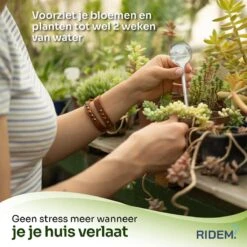 Waterdruppelaar Voor Planten - Irrigatiesysteem- Waterbol - Druppelsysteem - Watergeefsysteem Voor Kamerplanten - Plantenwatergever -6 Stuks - Transparant 10 Waterdruppelaar Voor Planten - Irrigatiesysteem- Waterbol - Druppelsysteem - Watergeefsysteem Voor Kamerplanten - Plantenwatergever -6 Stuks - Transparant -Tuin Tools Verkoop 1200x1198 19