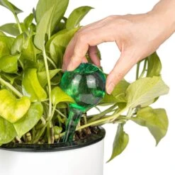 Merkloos Decopatent® 4 Stuks - Waterdruppelaar Voor Planten - Watergever - Glas - Waterbollen - Watergeefsysteem - Plantenbollen - Groen -Tuin Tools Verkoop 1200x1200 1003