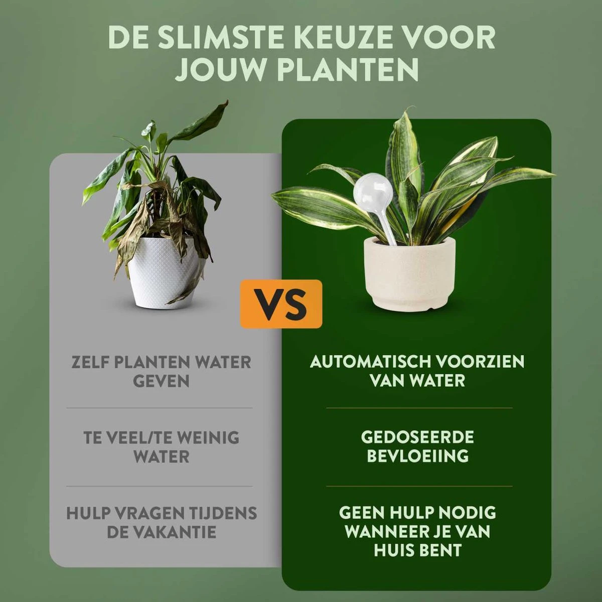 STFF & Co® Waterdruppelaar Voor Planten – Irrigatiesysteem Automatisch Watergeefsysteem – Waterbollen Voor Planten – Bewateringssysteem – 8 Stuks - 8cm 3 STFF & Co® Waterdruppelaar Voor Planten – Irrigatiesysteem Automatisch Watergeefsysteem – Waterbollen Voor Planten – Bewateringssysteem – 8 Stuks - 8cm - Image 3
