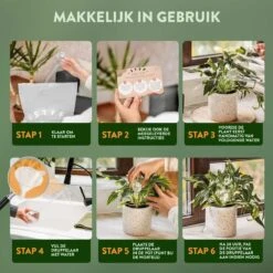STFF & Co® Waterdruppelaar Voor Planten – Irrigatiesysteem Automatisch Watergeefsysteem – Waterbollen Voor Planten – Bewateringssysteem – 8 Stuks - 8cm 8 STFF & Co® Waterdruppelaar Voor Planten – Irrigatiesysteem Automatisch Watergeefsysteem – Waterbollen Voor Planten – Bewateringssysteem – 8 Stuks - 8cm -Tuin Tools Verkoop 1200x1200 1018