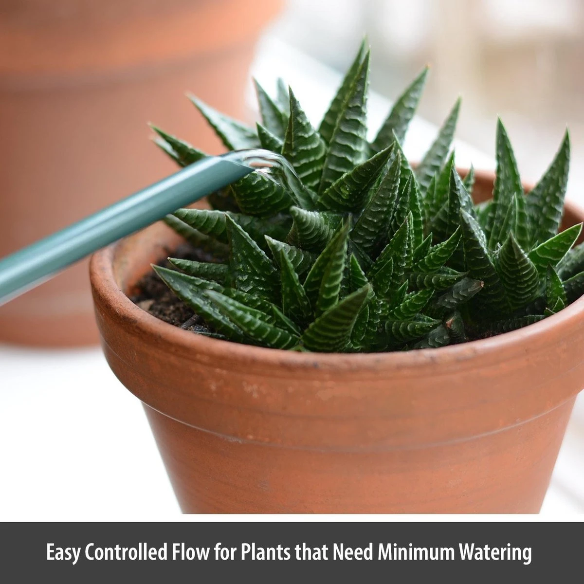 CKB LTD - Gieters - Gieter - Retro - Gietertje - Kleine Gieter Voor Binnen En Buiten - 1 Liter - Groen Plantengieter Tuingieter Bloemengieter Mini Klein Metaal Binnenplantjes Gietertjes Tuingieters Vintage Kamerplanten Buitengieter Binnenshuis 2 CKB LTD - Gieters - Gieter - Retro - Gietertje - Kleine Gieter Voor Binnen En Buiten - 1 Liter - Groen Plantengieter Tuingieter Bloemengieter Mini Klein Metaal Binnenplantjes Gietertjes Tuingieters Vintage Kamerplanten Buitengieter Binnenshuis - Image 2