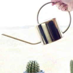 Kikkerland Vintage Gieter - Plantengieter Voor Binnen - Goud - 1,2L - Retro - Metaal 10 Kikkerland Vintage Gieter - Plantengieter Voor Binnen - Goud - 1,2L - Retro - Metaal -Tuin Tools Verkoop 1200x1200 1219