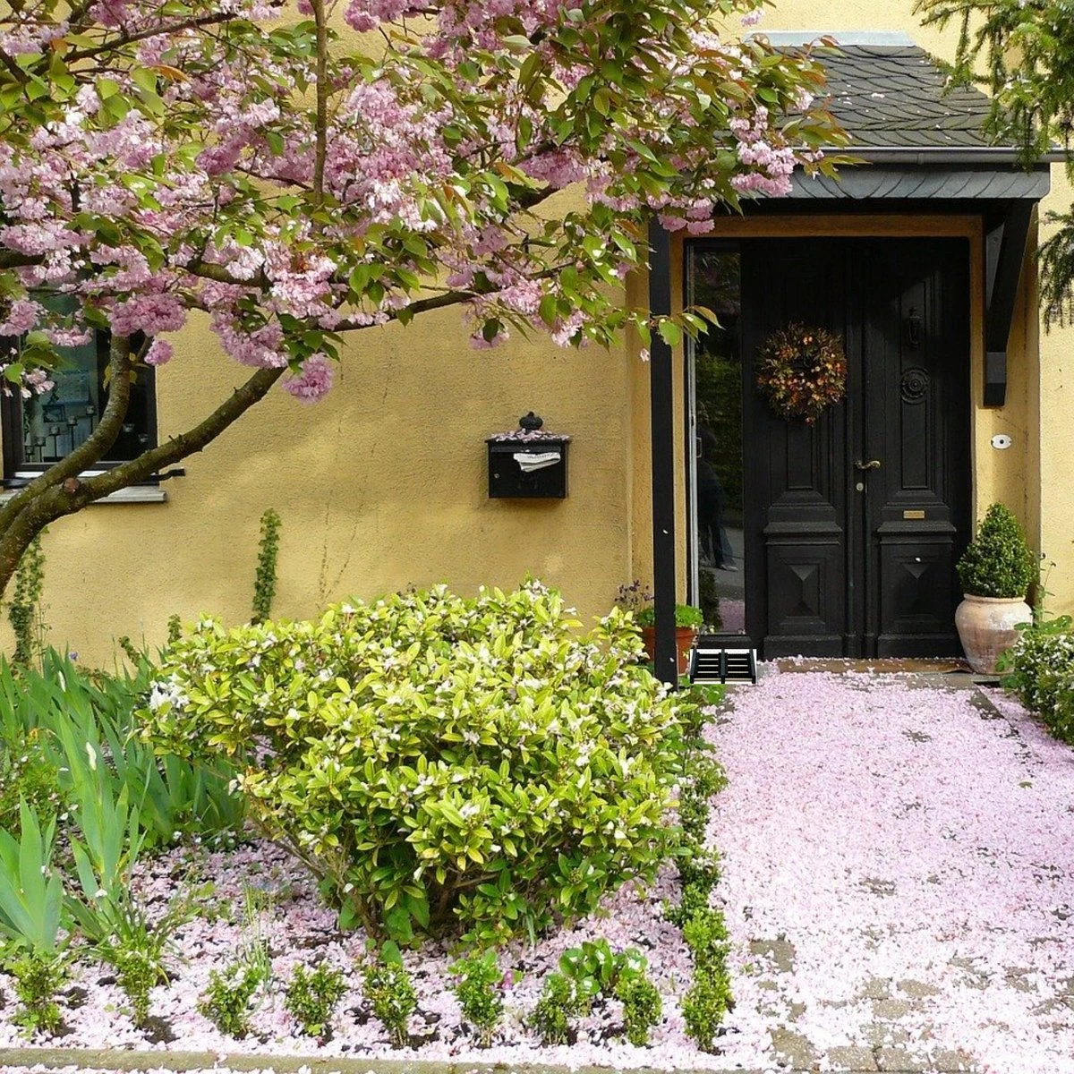 Talen Tools - Voetenveger - Dubbel - Harde Kunststof Borstels 4 Talen Tools - Voetenveger - Dubbel - Harde Kunststof Borstels - Image 4