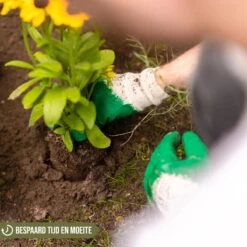 Merkloos Grondboor Voor Planten - 25 CM - Palenboor - Moestuin - Bollenplanter - Zwart 11 Merkloos Grondboor Voor Planten - 25 CM - Palenboor - Moestuin - Bollenplanter - Zwart -Tuin Tools Verkoop 1200x1200 177