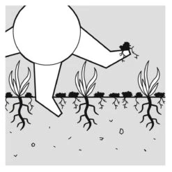 GARDENA EVC 1000 Verticuteermachine - Werkbreedte 30 Cm - Werkgebied 600m2 -Tuin Tools Verkoop 1200x1200 282