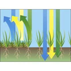GARDENA EVC 1000 Verticuteermachine - Werkbreedte 30 Cm - Werkgebied 600m2 -Tuin Tools Verkoop 1200x1200 283