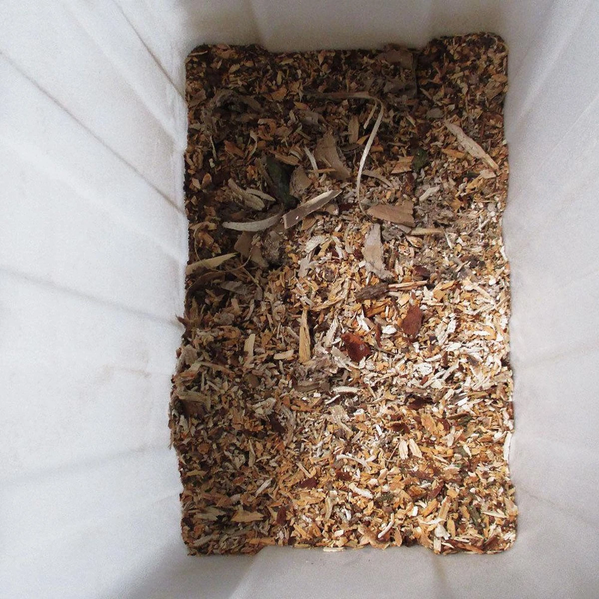 Gardebruk Hakselaar Elektrisch 2800W - 45mm Takdikte - Opvangbak 60 L 9 Gardebruk Hakselaar Elektrisch 2800W - 45mm Takdikte - Opvangbak 60 L - Image 9