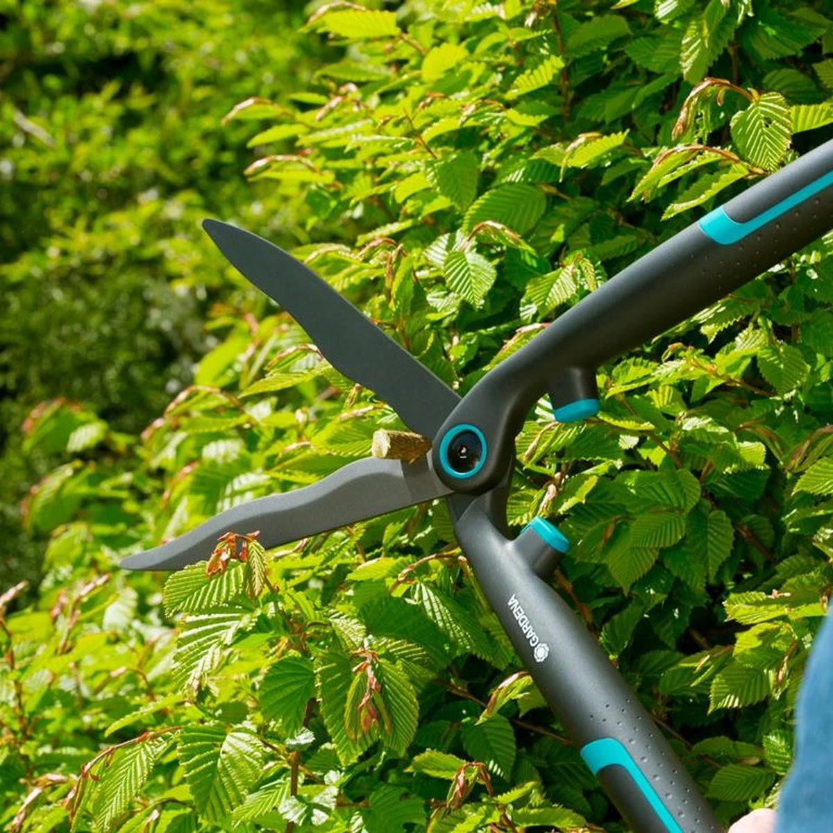 GARDENA - EasyCut - Heggenschaar - Extra Licht Van Gewicht 11 GARDENA - EasyCut - Heggenschaar - Extra Licht Van Gewicht - Image 11