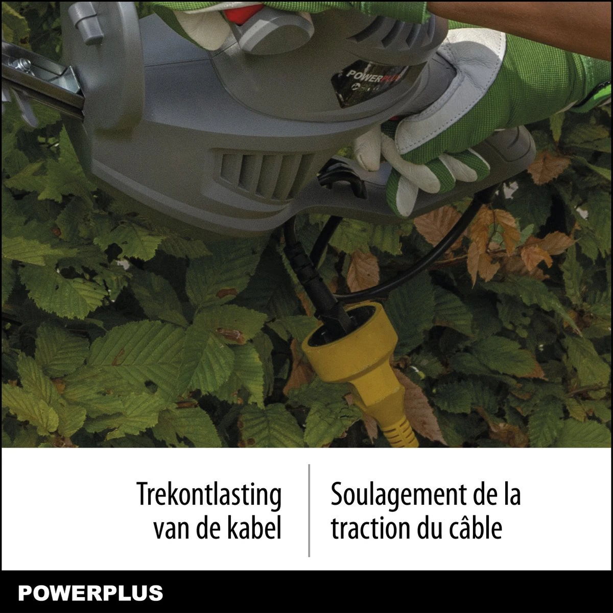 Powerplus POWEG40100 Elektrische Heggenschaar - 550W - Snoeien En Knippen - Zwaardlengte 560mm - Mesafstand 16mm - Haagschaar Voor Tuinonderhoud 4 Powerplus POWEG40100 Elektrische Heggenschaar - 550W - Snoeien En Knippen - Zwaardlengte 560mm - Mesafstand 16mm - Haagschaar Voor Tuinonderhoud - Image 4