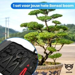 Good2know Bonsai Gereedschap Set – 16 Delig – Bonsai Starters Kit – Bonsai Boompje Verzorgingskit - Tuingereedschap -Tuin Tools Verkoop 1200x1200 826