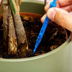 Woonaccessoires- Automatisch Watergeef Systeem | Plantenwaterer - Life Support Irrigatieapparaat | Druppelaar Kamerplanten - | Planten Watergever Met Druppelsysteem 350ml 14 Woonaccessoires- Automatisch Watergeef Systeem | Plantenwaterer - Life Support Irrigatieapparaat | Druppelaar Kamerplanten - | Planten Watergever Met Druppelsysteem 350ml -Tuin Tools Verkoop 1200x1200 868