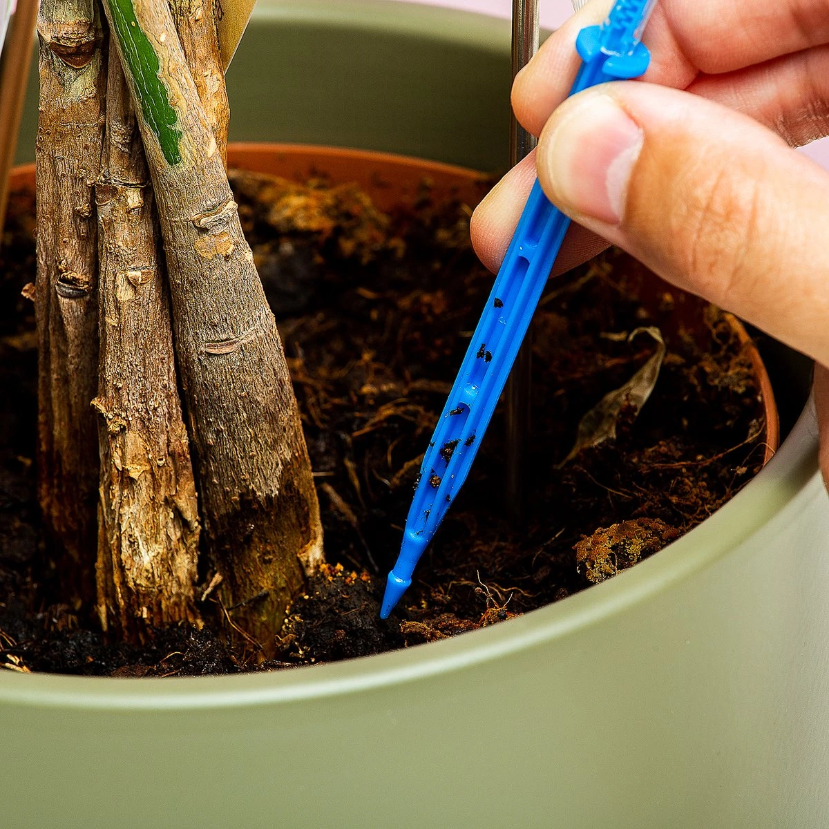 Woonaccessoires- Automatisch Watergeef Systeem | Plantenwaterer - Life Support Irrigatieapparaat | Druppelaar Kamerplanten - | Planten Watergever Met Druppelsysteem 350ml 5 Woonaccessoires- Automatisch Watergeef Systeem | Plantenwaterer - Life Support Irrigatieapparaat | Druppelaar Kamerplanten - | Planten Watergever Met Druppelsysteem 350ml - Image 5