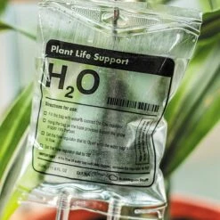 Woonaccessoires- Automatisch Watergeef Systeem | Plantenwaterer - Life Support Irrigatieapparaat | Druppelaar Kamerplanten - | Planten Watergever Met Druppelsysteem 350ml 18 Woonaccessoires- Automatisch Watergeef Systeem | Plantenwaterer - Life Support Irrigatieapparaat | Druppelaar Kamerplanten - | Planten Watergever Met Druppelsysteem 350ml -Tuin Tools Verkoop 1200x1200 871