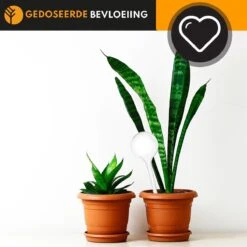 Waterdruppelaar Set Van 6 Stuks Voor Planten Transparant – 27 CM – Automatisch Watergeefsysteem Voor Kamerplanten – Planten Watergever Met Druppelsysteem – Waterbol 8 Waterdruppelaar Set Van 6 Stuks Voor Planten Transparant – 27 CM – Automatisch Watergeefsysteem Voor Kamerplanten – Planten Watergever Met Druppelsysteem – Waterbol -Tuin Tools Verkoop 1200x1200 942