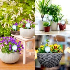 Druppelsysteem 12 Stuks Waterdruppelaar Voor Planten - Waterafgiftesysteem Voor 2 Weken - Beregening Voor Kamerplanten 13 Druppelsysteem 12 Stuks Waterdruppelaar Voor Planten - Waterafgiftesysteem Voor 2 Weken - Beregening Voor Kamerplanten -Tuin Tools Verkoop 1200x1200 954