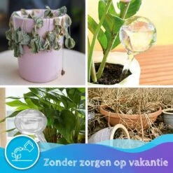 Summer Spark Waterdruppelaar Voor Planten 6 Stuks Transparant – 27 CM X 8 CM – 250 ML – Automatisch Watergeefsysteem Voor Kamerplanten – Planten Watergever Met Druppelsysteem – Waterbol -Tuin Tools Verkoop 1200x1200 967