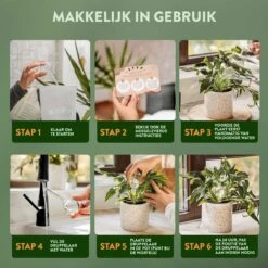 STFF & Co® Waterdruppelaar Voor Planten – Irrigatiesysteem Automatisch Watergeefsysteem – Waterbollen Voor Planten – Bewateringssysteem – 8 Stuks - 5cm 8 STFF & Co® Waterdruppelaar Voor Planten – Irrigatiesysteem Automatisch Watergeefsysteem – Waterbollen Voor Planten – Bewateringssysteem – 8 Stuks - 5cm -Tuin Tools Verkoop 1200x1200 973