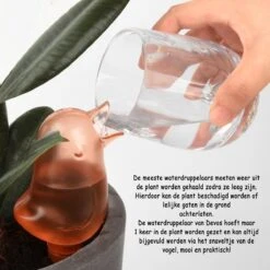 Waterdruppelaar Voor Planten 2 Stuks - Waterbol Kamerplanten - Automatisch Watergeefsysteem - Vogel - Blauw 8 Waterdruppelaar Voor Planten 2 Stuks - Waterbol Kamerplanten - Automatisch Watergeefsysteem - Vogel - Blauw -Tuin Tools Verkoop 1200x1200 990