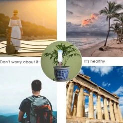 BOTC Waterdruppelaar Set Van 6 Stuks Voor Planten - Watergeefsysteem -Tuin Tools Verkoop 1200x1200 996