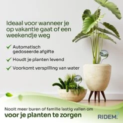 Waterdruppelaar Voor Planten - Irrigatiesysteem- Waterbol - Druppelsysteem - Watergeefsysteem Voor Kamerplanten - Plantenwatergever -6 Stuks - Transparant 15 Waterdruppelaar Voor Planten - Irrigatiesysteem- Waterbol - Druppelsysteem - Watergeefsysteem Voor Kamerplanten - Plantenwatergever -6 Stuks - Transparant -Tuin Tools Verkoop 1200x1200 999