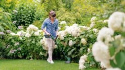 Bosch EasyGrassCut 18V-26 Grastrimmer - Zonder Accu En Lader -Tuin Tools Verkoop 1200x675 14