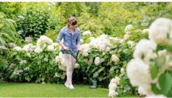 Bosch EasyGrassCut 18V-230 Grastrimmer - Met 18 V Accu En Lader -Tuin Tools Verkoop 1200x691