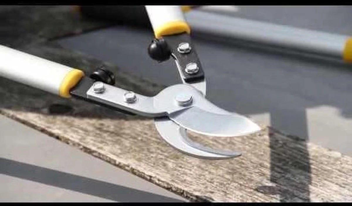 Hendrik Jan - Takkenschaar - Aluminium - Aambeeld - 62 Cm 5 Hendrik Jan - Takkenschaar - Aluminium - Aambeeld - 62 Cm - Image 5