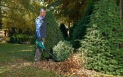 Bosch ALB 36 LI - Bladblazer - Met 36 V Accu En Lader -Tuin Tools Verkoop 1200x747 3