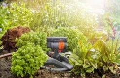 GARDENA - Zwenksproeier AquaZoom Compact - Tuinsproeier - 9 Tot 216 M² 21 GARDENA - Zwenksproeier AquaZoom Compact - Tuinsproeier - 9 Tot 216 M² -Tuin Tools Verkoop 1200x785 2