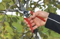 Felco 2 Snoeischaar - Rechtshandig - Max. Knipdiameter 25 Mm - Lengte 215 Mm 20 Felco 2 Snoeischaar - Rechtshandig - Max. Knipdiameter 25 Mm - Lengte 215 Mm -Tuin Tools Verkoop 1200x796 1