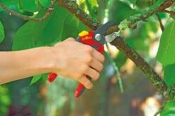 WOLF-Garten Snoeischaar "Premium Plus" RS 4000 - Aambeeld - Max. Knipdiameter 25 Mm - Links- En Rechtshandige - Softinleg Handgreep - Snijhoek 30° - Voor Grote Handen - Vervangbare Messen En Aambeeld -Tuin Tools Verkoop 1200x798 1