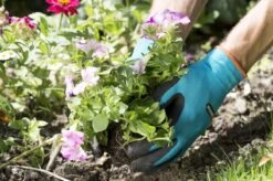 Gardena Plant- En Bodem Handschoen - Maat: M 18 Gardena Plant- En Bodem Handschoen - Maat: M -Tuin Tools Verkoop 1200x799 225