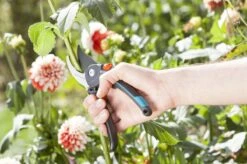 GARDENA Comfort B/M Bypass Snoeischaar - Ø 24mm - Met Sapgeul -Tuin Tools Verkoop 1200x799 23