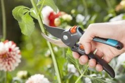 GARDENA Comfort B/M Bypass Snoeischaar - Ø 24mm - Met Sapgeul -Tuin Tools Verkoop 1200x799 24