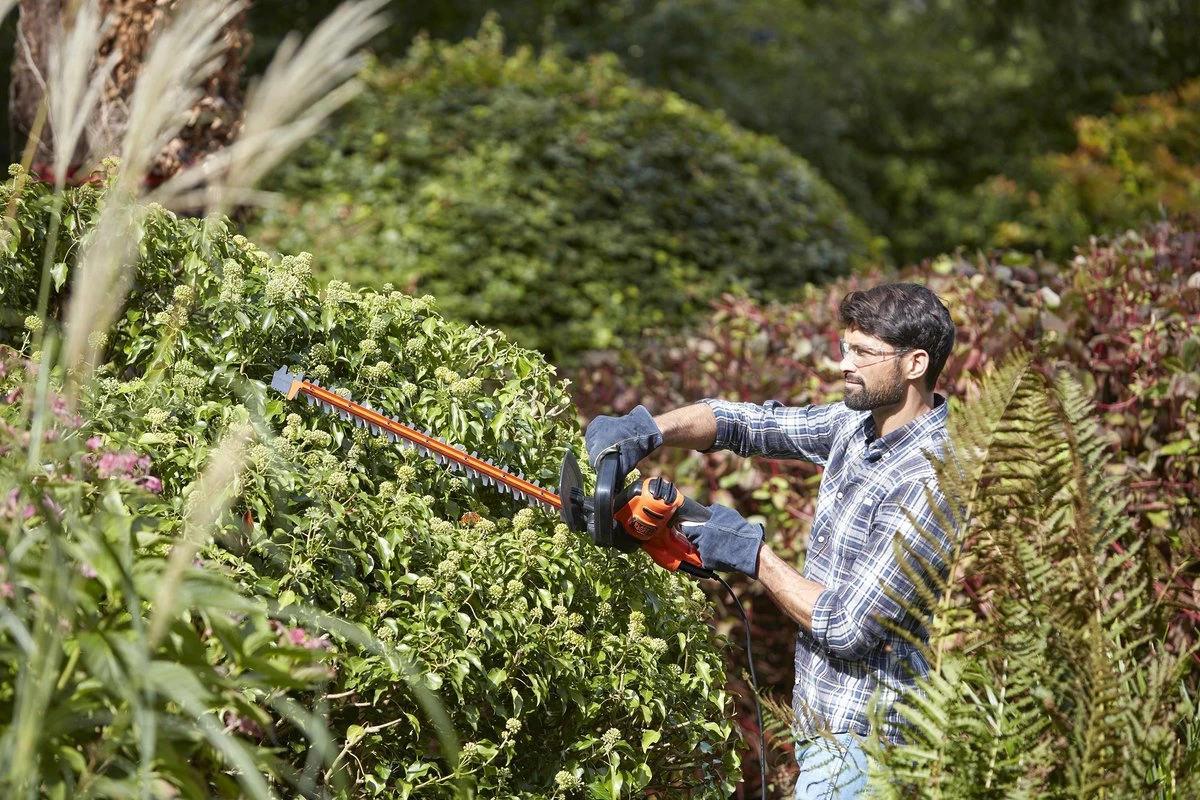 Tuin Tools Verkoop -Tuin Tools Verkoop 1200x800 105