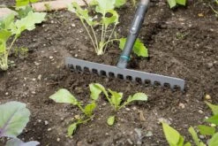 Gardena NatureLine Hark | 36 Cm | FSC 100% - 17106-20 -Tuin Tools Verkoop 1200x800 118