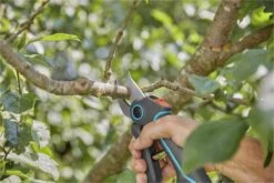 GARDENA AssistCut Snoeischaar- Ø 25mm -Tuin Tools Verkoop 1200x800 16