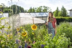 GARDENA - Comfort Broeskop - 5 Straalsoorten - Grijs 27 GARDENA - Comfort Broeskop - 5 Straalsoorten - Grijs -Tuin Tools Verkoop 1200x800 338