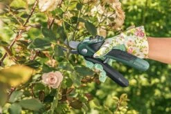 Bosch EasyPrune Accu Snoeischaar - 3.6 V Accu - USB -Tuin Tools Verkoop 1200x800 36