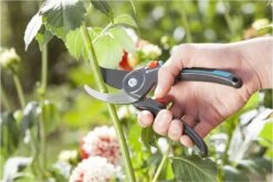 GARDENA Comfort B/M Bypass Snoeischaar - Ø 24mm - Met Sapgeul -Tuin Tools Verkoop 1200x800 61